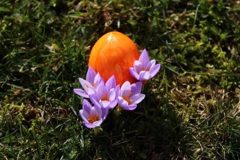 Happy easter greetings Stock Photos