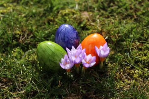 Happy easter greetings Stock Photos