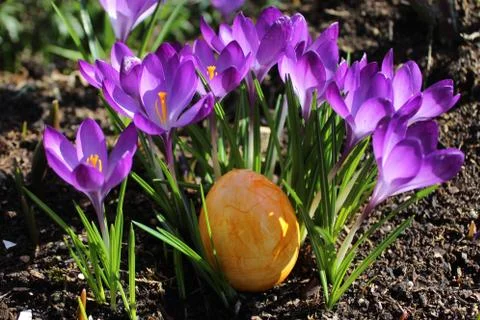 Happy easter greetings Stock Photos