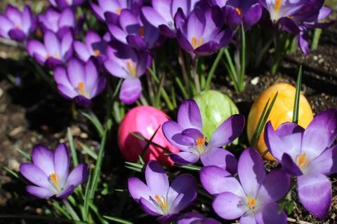 Happy easter greetings Stock Photos