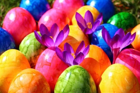 Happy easter greetings Stock Photos