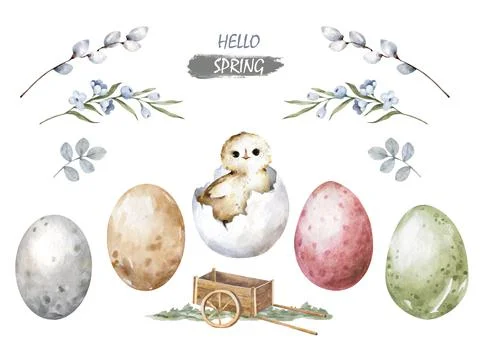 Happy easter hatching chick with set egg, willow stick. Hand painting illustr Stock Illustration