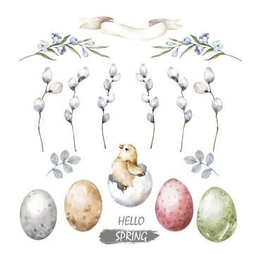 Happy easter hatching chick with set egg, willow stick. Hand painting illustr Stock Illustration