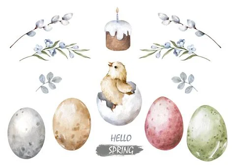 Happy Easter hatching chick with set egg, collection willow stick. Hand paint Ilustração Stock