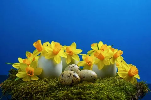 Happy Easter holiday background concept. Easter decoration Stock Photos
