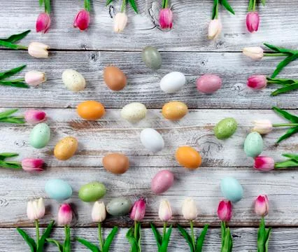 Happy Easter holiday concept with eggs surrounded by pink tulip box shaped bo Stock Photos