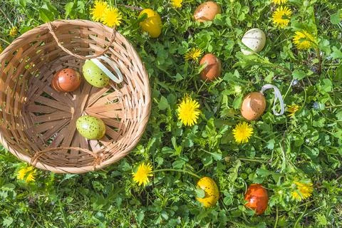 Happy Easter holiday concept; Wicker basket and easter eggs on a green lawn.. Stock Photos