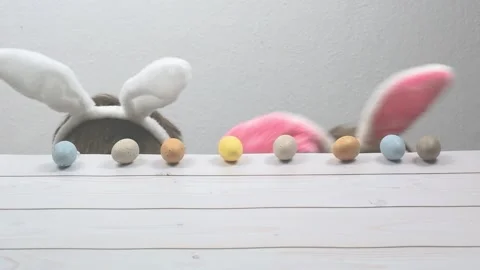 Happy easter holiday Stock Footage 223108379