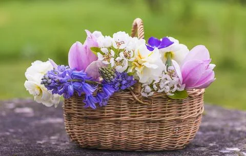 Happy easter holidays; Bunch of various spring flowers (hyacinths, cherry b.. Stock Photos