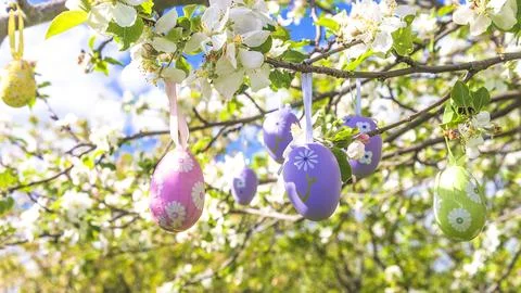 Happy easter holidays concept; Apple tree branches decorated by easter eggs.. Stock Photos
