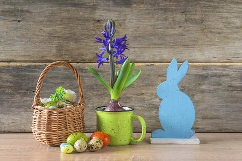 Happy Easter holidays concept; Blue hyacinth in green mug, wicker basket wi.. Stock Photos
