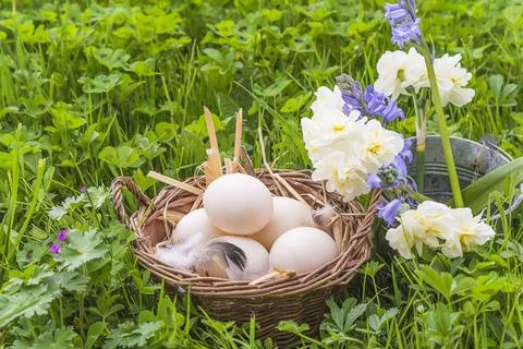 Happy easter holidays concept: wicker basket with hen's eggs and bouquet of.. Stock Photos