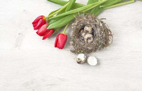 Happy Easter holidays or spring concept. Quail eggs in the bird nest and bo.. Stock Photos