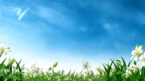 Happy Easter Light Beams on Lilly Field 4K Loop Stock Footage 104310056