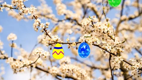 Happy easter, message with blackthorn blossom and easter eggs Stock Footage 268727903