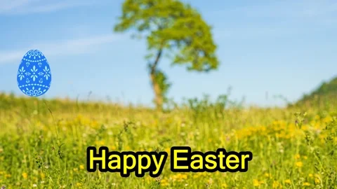 Happy Easter message on a geeen meadow Stock Footage 270122514