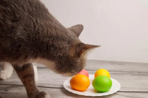Happy Easter. Multicolored eggs on a white plate. All the colors of the rainbow Stock Photos