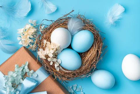 Happy Easter, a nest with Easter eggs close-up on a blue background. Stock Photos