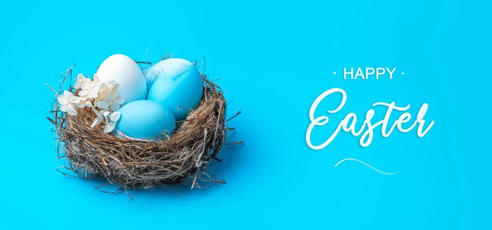 Happy Easter, a nest with Easter eggs on a blue background. Side view. Stock Photos