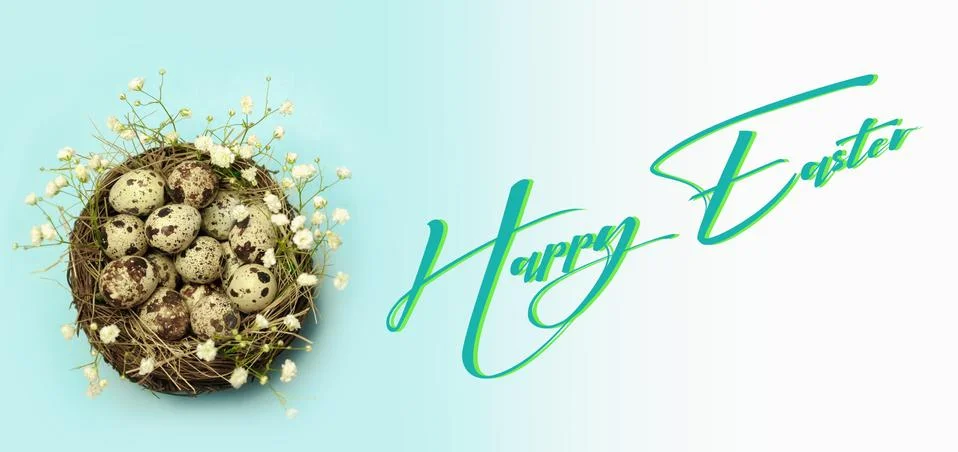 Happy Easter. Nest with easter eggs.Dreamy blue toning background.Banner. Big Stock Illustration