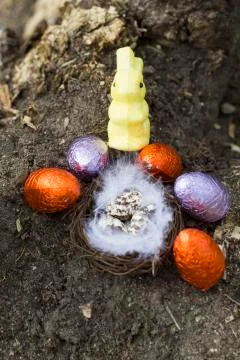 Happy Easter nest eggs Stock Photos
