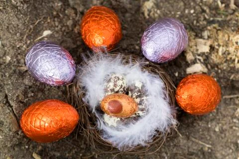 Happy Easter nest eggs Stock Photos
