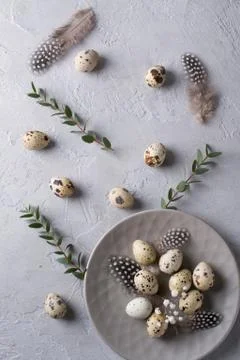 Happy Easter  or spring greeting card pattern. made of quail eggs and leaf Foto stock