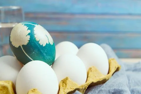 Happy easter, organic blue easter egg standing on the white color eggs wait f Stock Photos