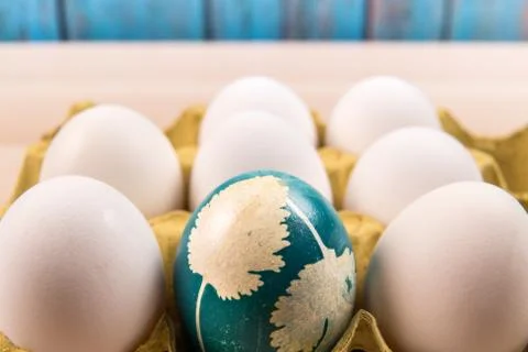 Happy Easter, a organic blue easter egg standing in the middle of the white e Stock Photos