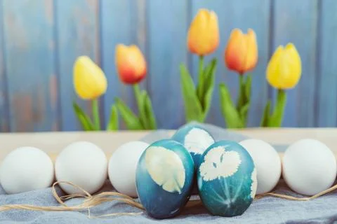 Happy Easter, organic blue easter egg in the middle of white color eggs wait  Stock Photos