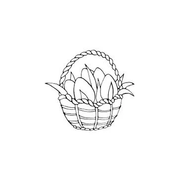 Happy Easter. Outline Basket with eggs and Tulip flowers. Design element for  Stock Illustration