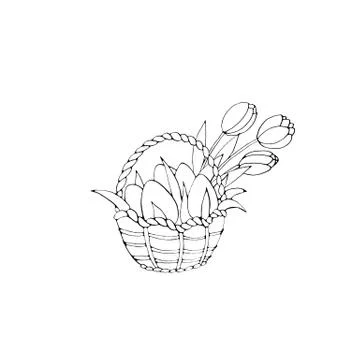 Happy Easter. Outline Basket with eggs and Tulip flowers. Design element for  Stock Illustration