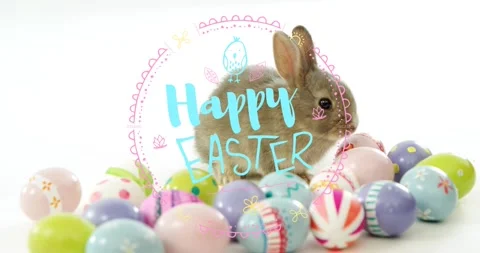 Happy Easter overlay centering over brown rabbit twitching ears among pastel Stock Footage 330933930