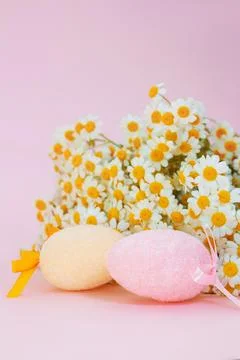 Happy Easter. Painted eggs with white daisy on pink background. Copy space Foto stock