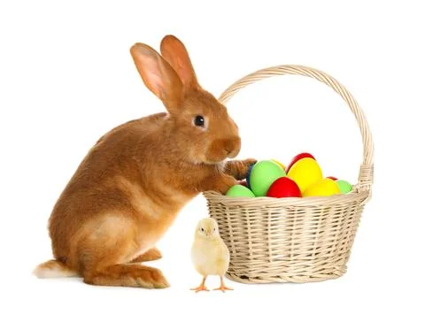 Happy Easter. Painted eggs in wicker basket, cute chick and rabbit isolated.. Foto stock