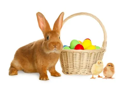 Happy Easter. Painted eggs in wicker basket, cute chicks and rabbit isolate.. 스톡 사진