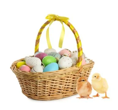 Happy Easter. Painted eggs in wicker basket and cute chicks isolated on white Stock Photos