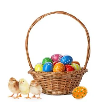 Happy Easter. Painted eggs in wicker basket and cute chicks isolated on white Stock Photos