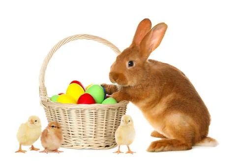 Happy Easter. Painted eggs in wicker basket, cute chicks and rabbit isolate.. Foto stock