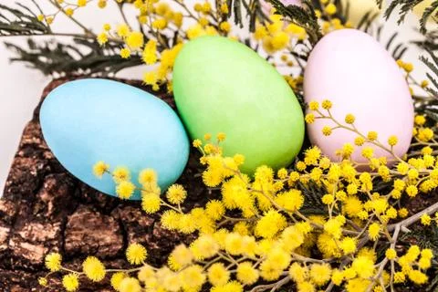 Happy easter Фото