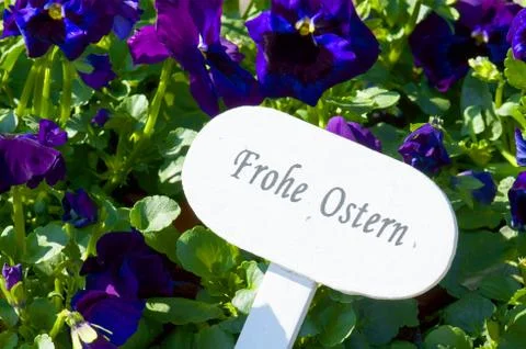Happy easter Stock-Fotos