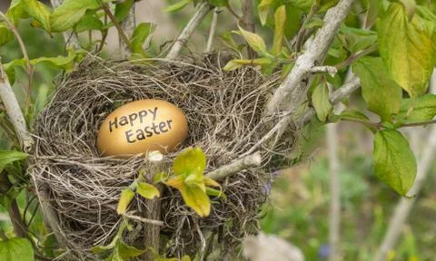 Happy Easter Stock Photos
