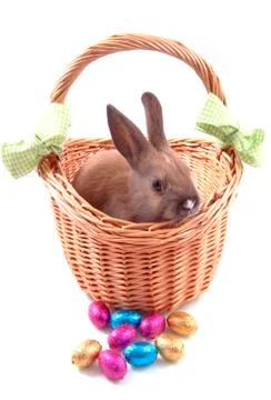 Happy easter Stock Photos