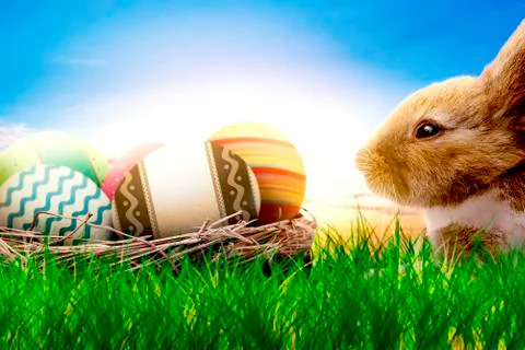 Happy Easter Stock Photos