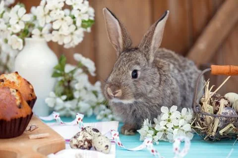 The happy easter Foto stock