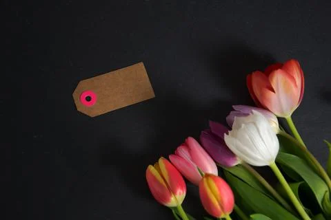 Happy Easter Stock Photos