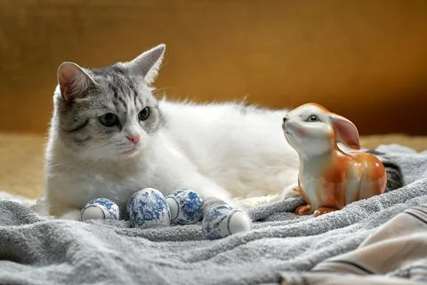 Happy Easter! Stock Photos