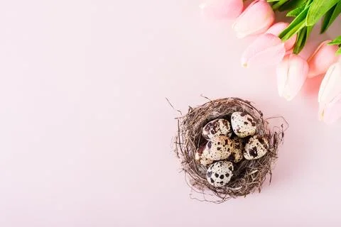 Happy easter quail eggs in natural nest and bouquet of flowers on pink back.. Stock Photos