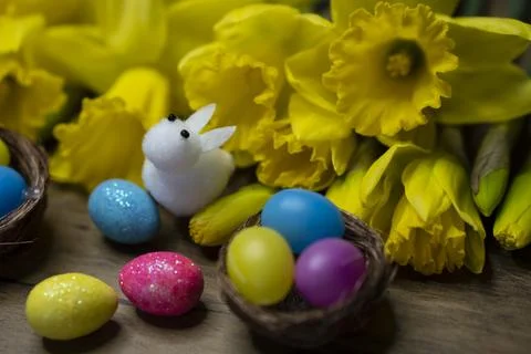 Happy Easter rabbit bunny, colorful eggs, narcissus composition, festive card Stock Photos