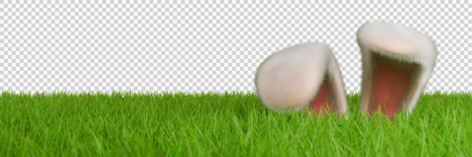 Happy easter. Rabbit ears stick out from the green grass in the meadow Illustrazione stock